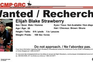 Elijah Strawberry Wanted